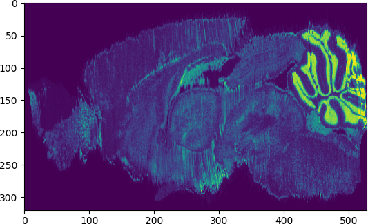 Allen Mouse Brain Atlas 影像