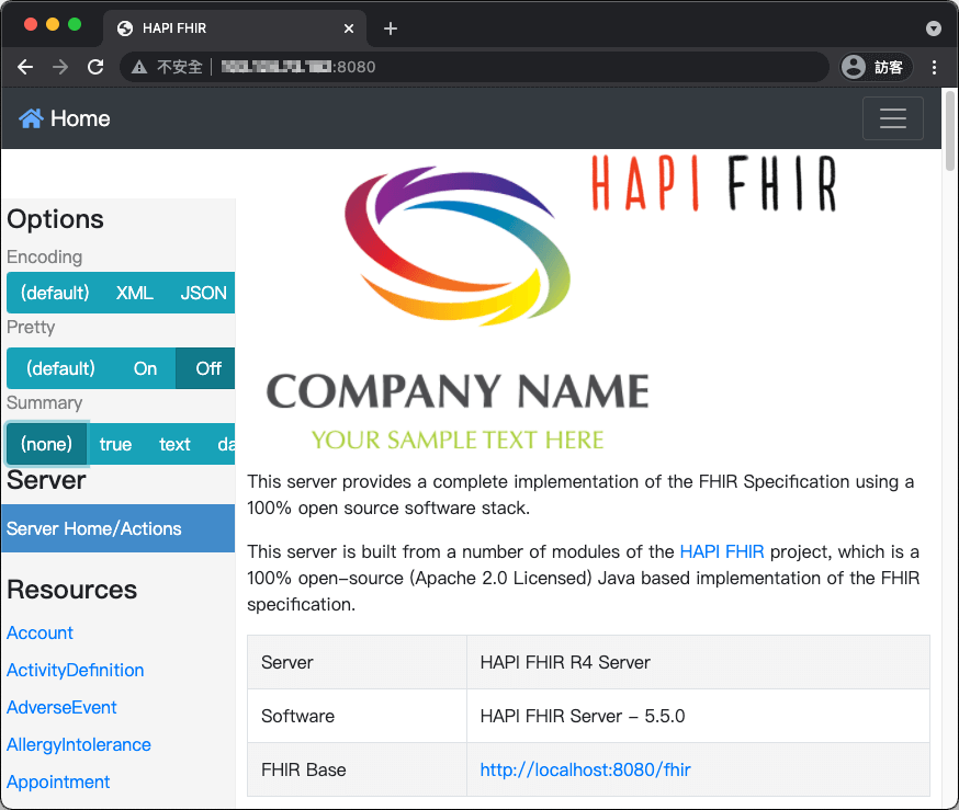 HAPI-FHIR Starter 伺服器